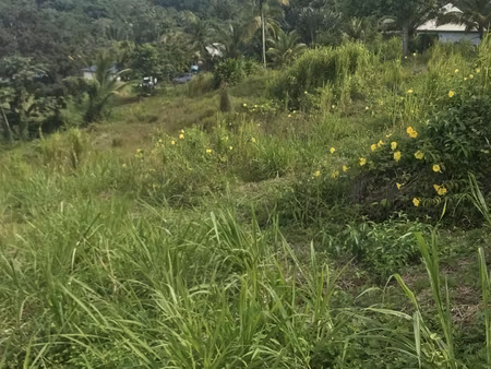 vente terrain 1 502 m²