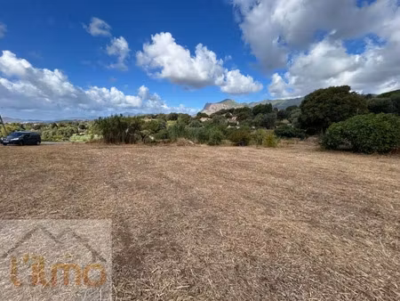 vente terrain 1200 m² à peri (20167)  240 000 €