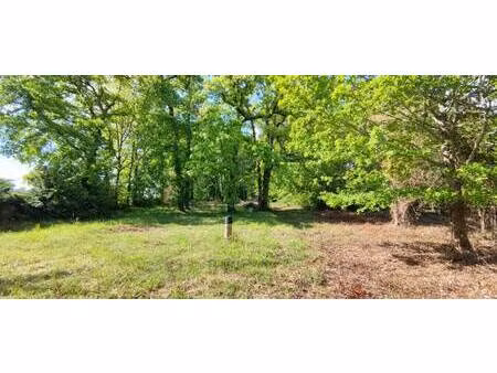 terrain constructible à vendre