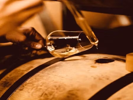 château à restaurer à saint-justin