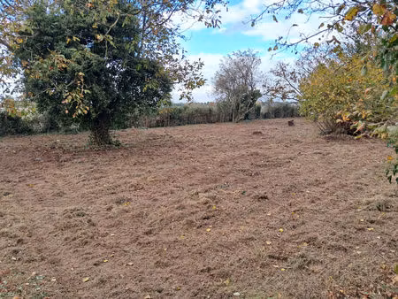 terrain viabilisé de 1058 m2 azay sur cher