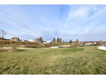 terrain l hopital du grosbois 828 m2