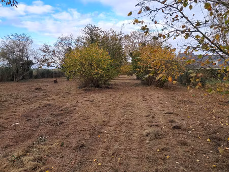 terrain 1281 m2