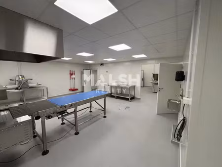 local d'activites - saint etienne - parc de la chauvetière - a louer - 1 121 m² - alimenta