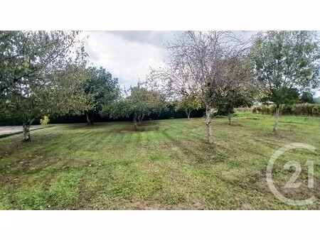 terrain à vendre - 1633 m2 - rauzan - 33 - aquitaine