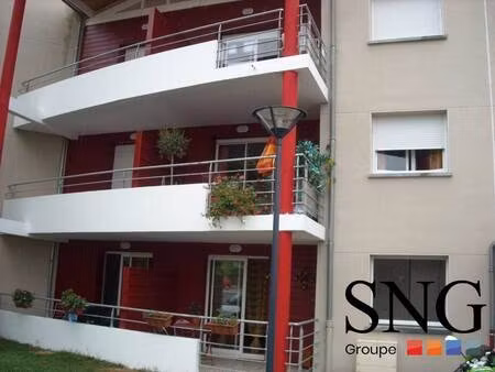 s.n.g immobilier