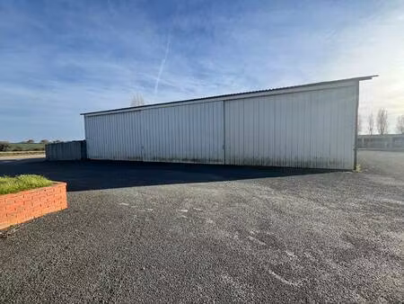 griffon choloux immobilier