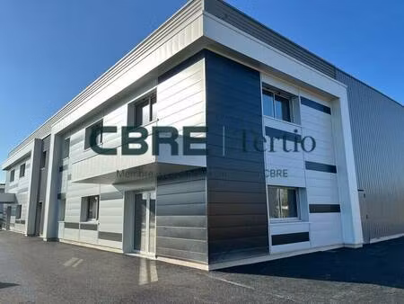 tertio