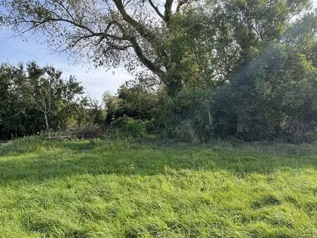 terrain à vendre