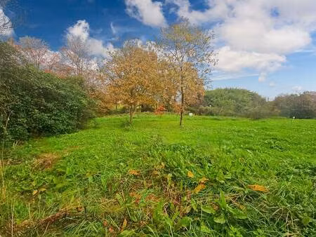 terrain à vendre