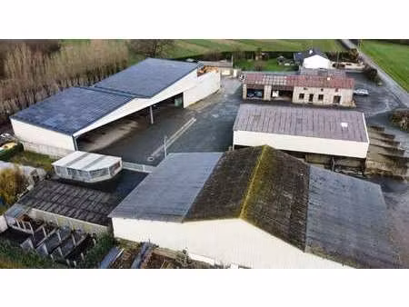 vente maison à la poitevinière (49510) : à vendre / 280m² la poitevinière