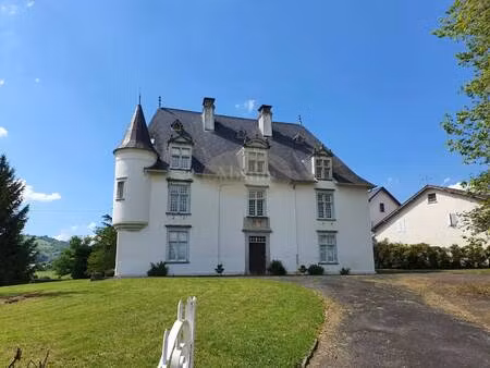 château à vendre