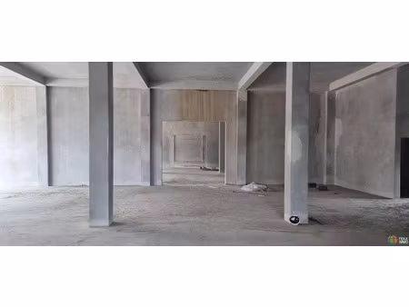 location locaux professionnels 1 pièce 600 m² à sainte suzanne (97441)  8 100 €