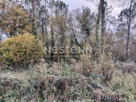 terrain boisé à vendre à bignan