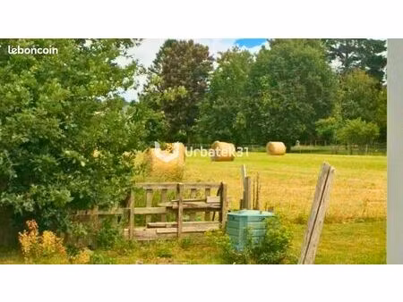 terrain 8 667 m² saint ouen des alleux