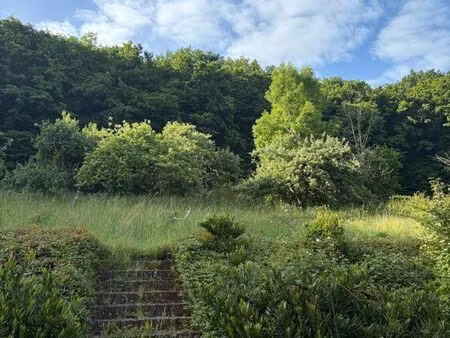maison dans un écrin de verdure