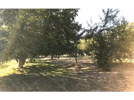 terrain willer-sur-thur m² t- à vendre  83 000 €