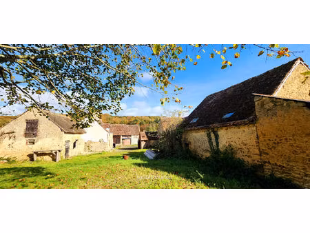 authentique longère à restaurer pleine campagne 8000 m2