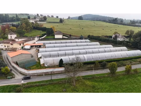 vente propriété 4 pièces 120 m² à saint-galmier (42330)  473 000 €