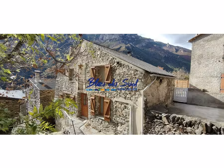 belle maison ancienne en pierre rénovée avec jardin  piscine e