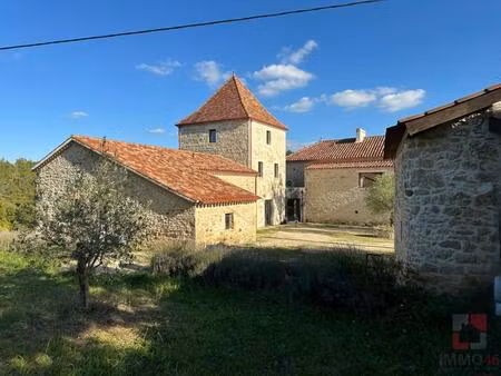 propriété d'exception avec maison  gîtes  piscine sur 10 hectares