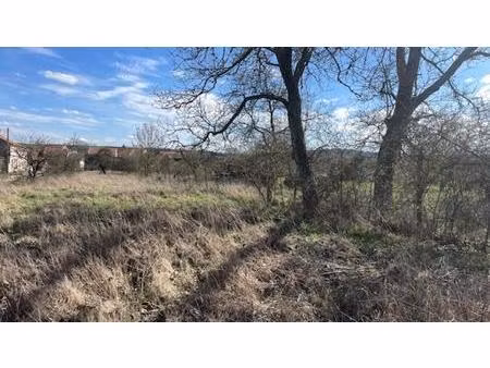 vente de terrain à arracourt