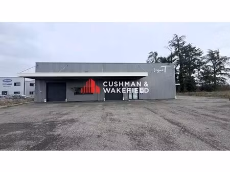 local d'activite à louer