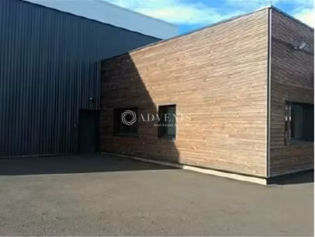 local d'activite a louer