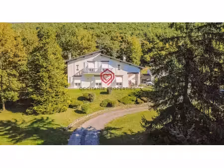 belle villa spacieuse avec vue pyrénées