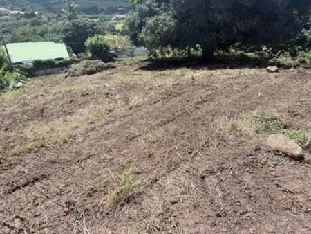 terrains a vendre francois  martinique