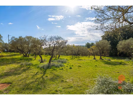 achat terrain 4 927m² varages 83670