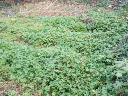 a 3 minutes de yenne terrain 225 m² constructible