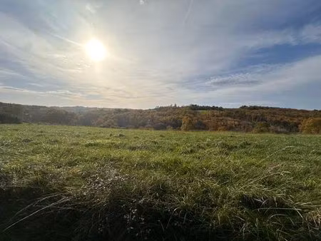 vente terrain 3000 m² saint-aulaire (19130)