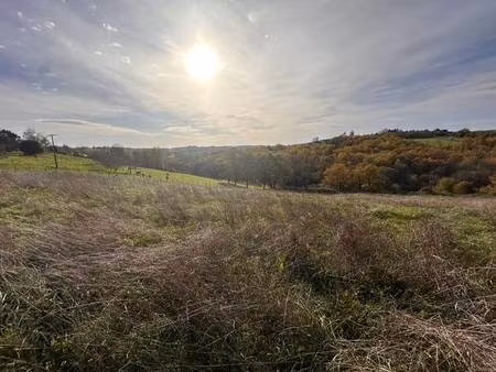 vente terrain 5705 m² saint-aulaire (19130)