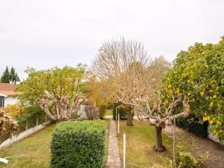 vente maison 4 pièces 120 m² à ambares-et-lagrave (33440)  301 815 €