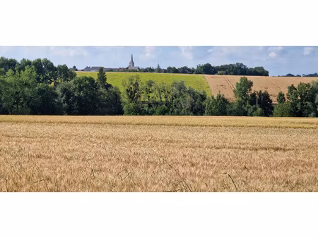 achat terrain 1 596m² lemere 37120