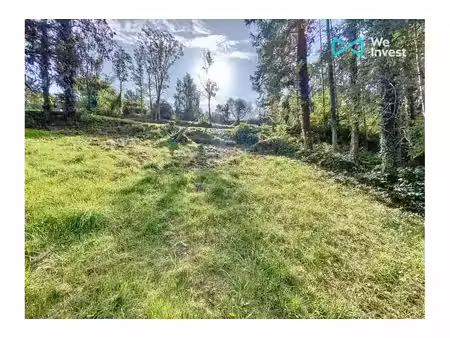 terrain à vendre à thier de nonceveux 9 sougné-remouchamps (vbd52292)