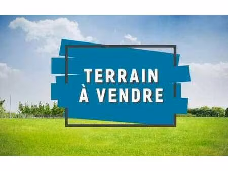 vente terrain à sainte-foy (85150) : à vendre / 4968m² sainte-foy