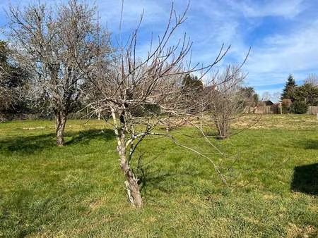 vente terrain à baden (56870) : à vendre / 816m² baden
