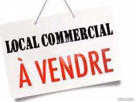 vente bureaux et commerces à saint-sauveur (31790) : à vendre / 100m² saint-sauveur