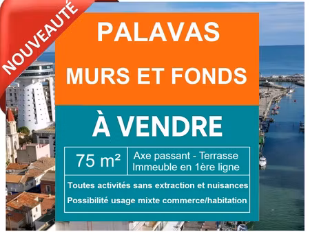 axe passant- immeuble en 1ere ligne - murs et fonds commerce