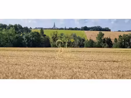 terrain plat de 1596 m2 en fin de village