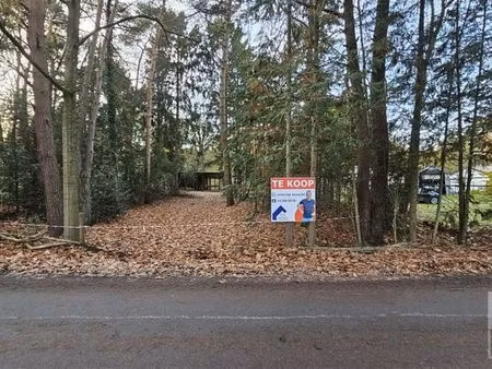 terrain à vendre à schilde € 205.000 (lh9pt) - top immo | zimmo