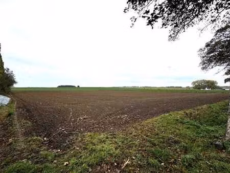 terrain exceptionnel de 11379 m²