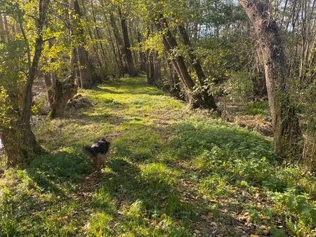 location terre agricole