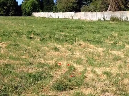 terrain constructible à vendre