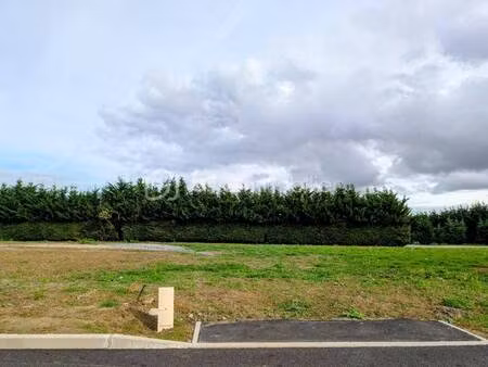 terrain constructible viabilisé à vendre