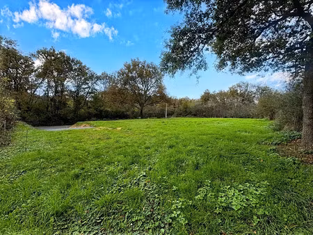 vente terrain 1687 m² à meaulne (03360)  27 000 €