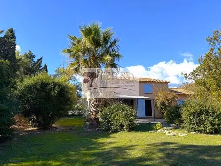 terra immobilier solenzara