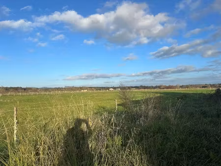 vente terrain 5600 m² à saint-christoly-de-blaye (33920)  40 000 €